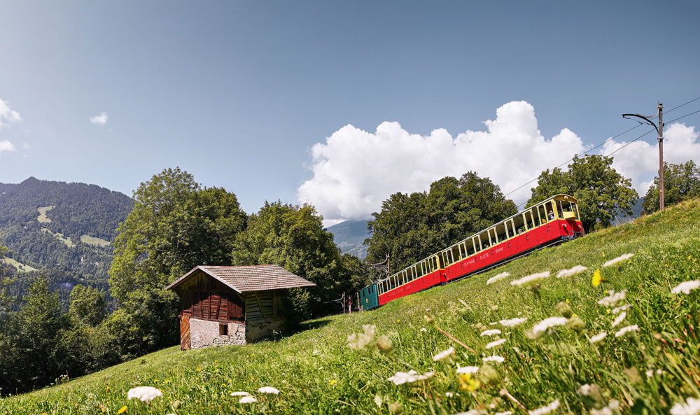 Schynige platte switzerland bucher travel dierikon 05