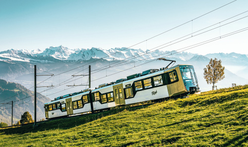 Swiss half fare card